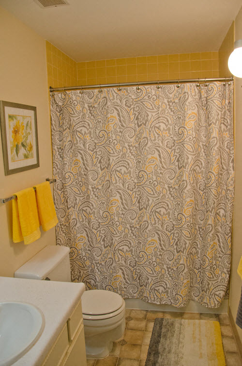 Gallery Photo 7